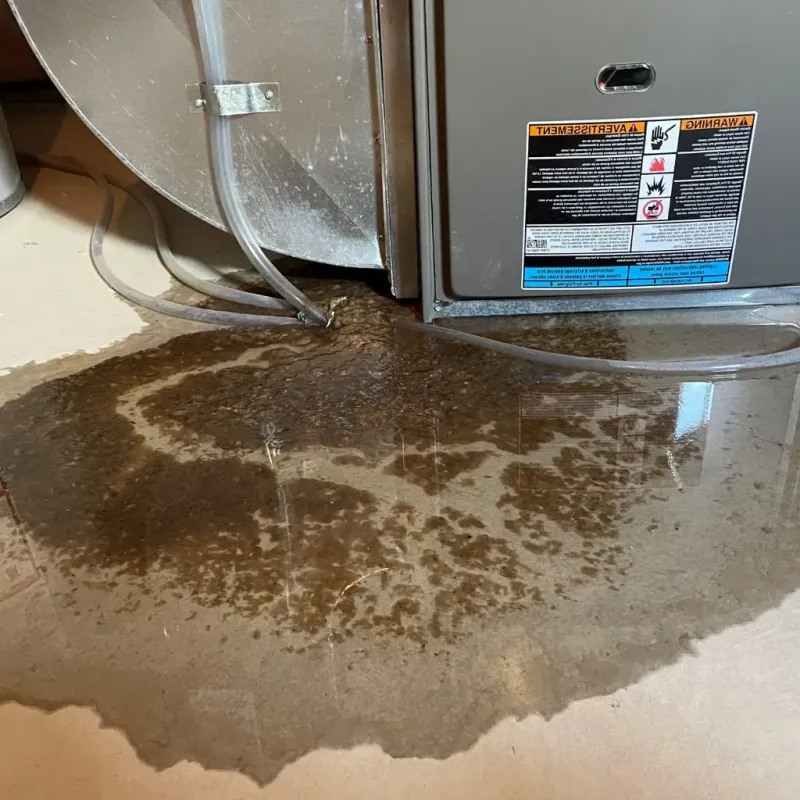 Pipe Burst and Leak Restoration in Bodega Bay, CA